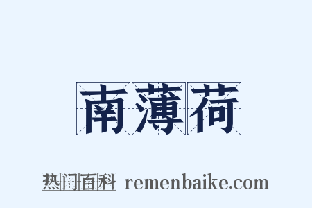 南薄荷是什么意思的图片